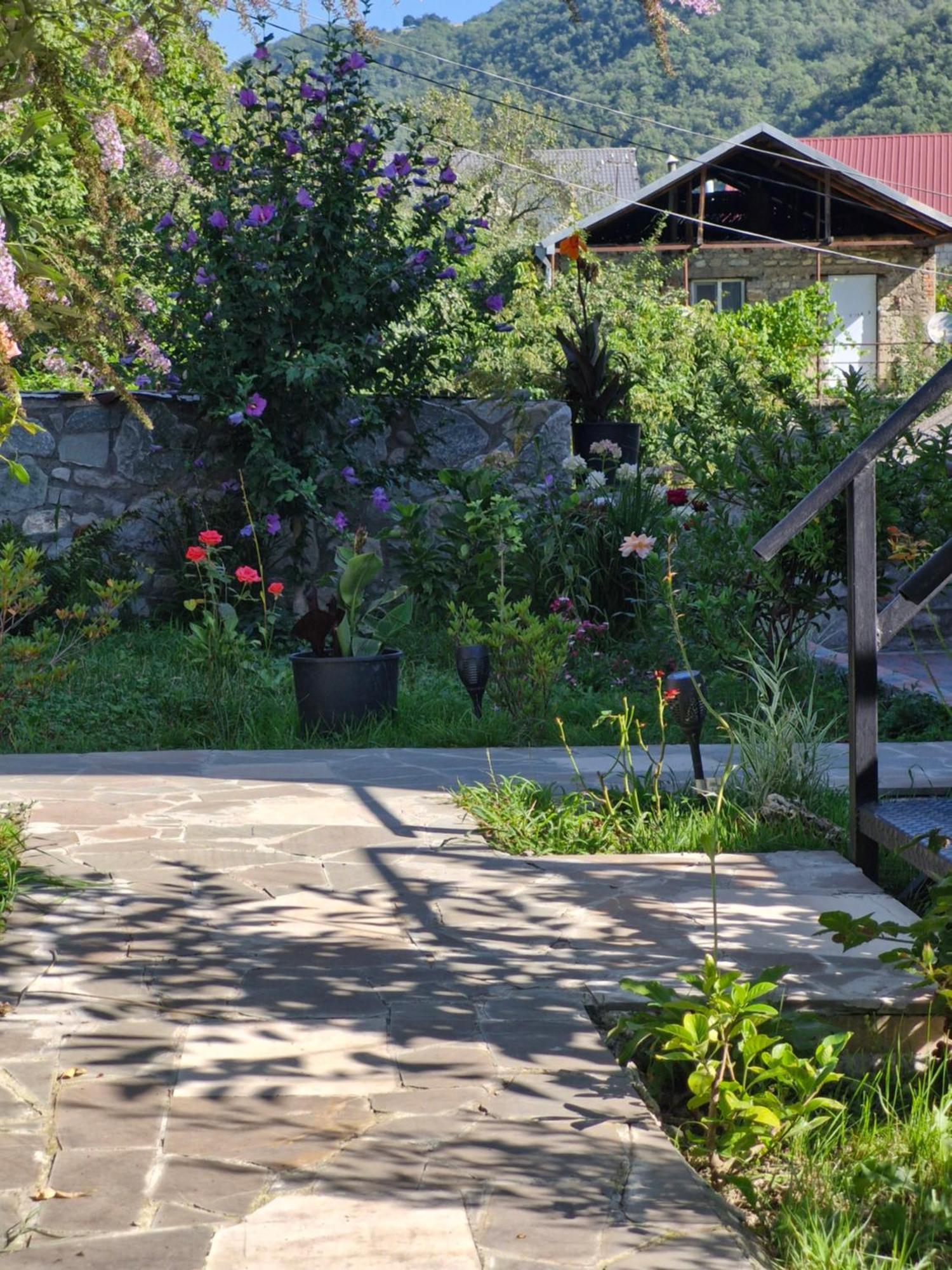 Ananuri Veranda- Hotel Guest House Dış mekan fotoğraf